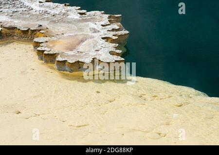 Bunte geothermische Funktion, Doublet Pool mit scalloped Geyserit Ablagerungen von opalinen Kieselsäure um die Grenze, Wasser etwa 190○f seltene kurze Eruption Stockfoto