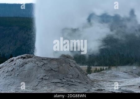 Ein Kegelgeysir, Löwengeysir, wurde nach dem rauschenden Geräusch von Dampf während einer Eruption benannt, die 90 Fuß lang 1 bis 7 Minuten dauerte. Stockfoto