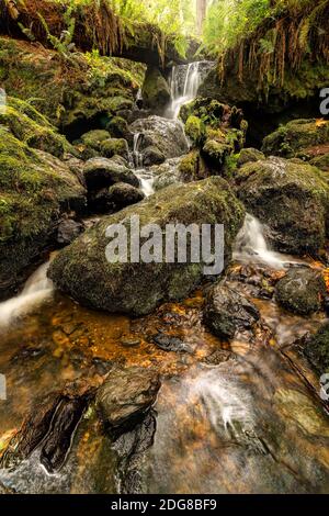 Kleiner Wasserfall in den Bergen von Nord Kalifornien Stockfoto