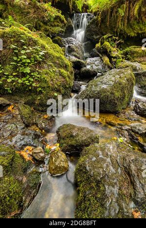 Kleiner Wasserfall in den Bergen von Nord Kalifornien Stockfoto