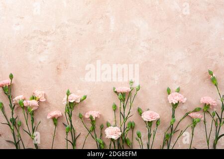 Overhead Ansicht von Blumen Zusammensetzung aus Korallen Nelke Stockfoto