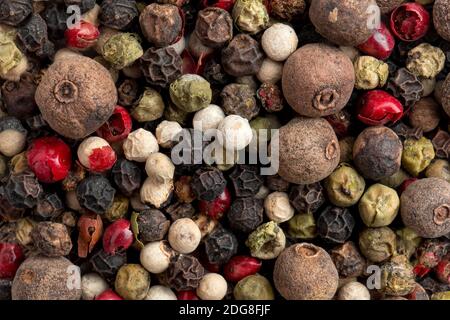 Nahaufnahme auf Mischung aus verschiedenen Pfefferkörnern Gewürz Textur Stockfoto