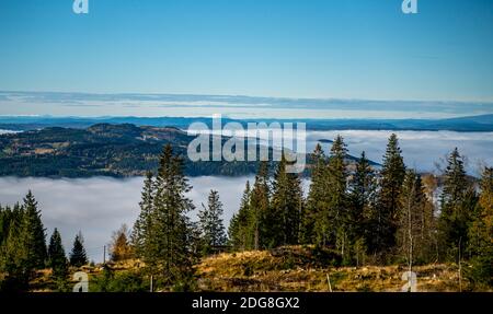 Panoramablick über nebelbedeckte Täler und grüne Kiefernwälder. Stockfoto
