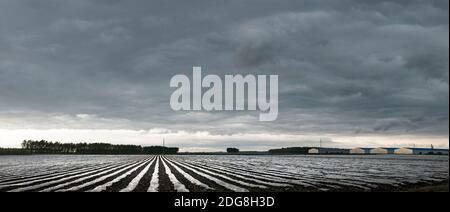 Provinz Heilongjiang jiamusi huanan Ackerland Stockfoto