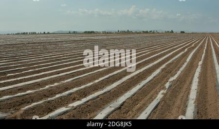 Provinz Heilongjiang jiamusi huanan Ackerland Stockfoto