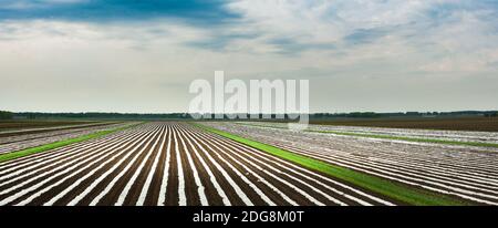 Provinz Heilongjiang jiamusi huanan Ackerland Stockfoto