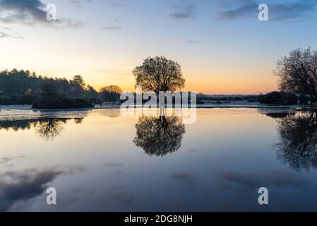 Janesmoor Pond, Fritham, New Forest, Hampshire, UK, 8. Dezember 2020, Wetter: Kalt und frostig starten in den Tag im South of England Nationalpark. Die Temperaturen fielen auf -2 über Nacht, um einen frischen Wintermorgen zu bringen. Kredit: Paul Biggins/Alamy Live Nachrichten Stockfoto