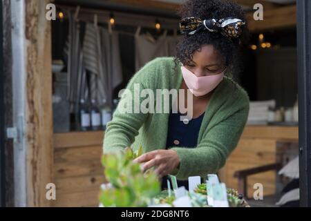 Weibliche Ladenbesitzerin in Gesichtsmaske, die zu saftigen Pflanzen tendiert Stockfoto