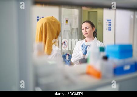 Wissenschaftlerinnen im Labor arbeiten Stockfoto