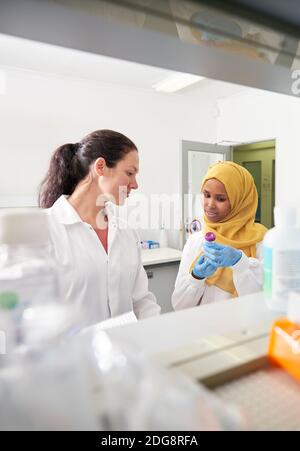 Wissenschaftlerinnen im Labor sprechen Stockfoto