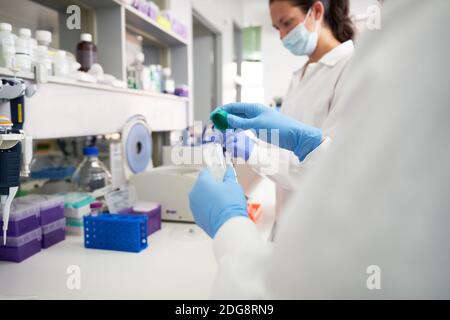 Wissenschaftlerinnen in Handschuhen und Gesichtsmaske arbeiten im Labor Stockfoto