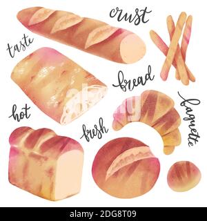 Bäckereisammlung, realistische handgezeichnete Illustration, verschiedene Arten von Brot, knusprige italienische Ciabatta und japanische Milchbrot, schuppige criossant und Stock Vektor
