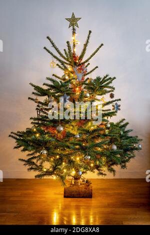 Schöner weihnachtsbaum dekoriert und beleuchtet von hellen Girlanden reflektieren auf einem Parkettboden. Stockfoto