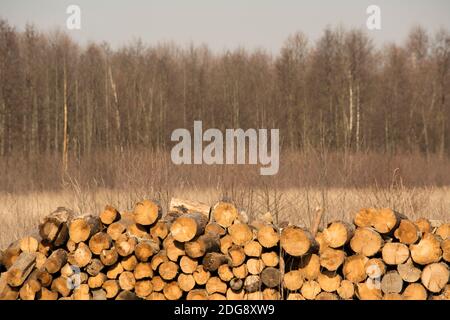 Foto von Brennholz sorgfältig gefaltet und umreißt eine ausgezeichnete Textur Stockfoto