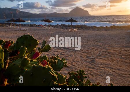 Sonnenuntergang am Strand von San Vito Lo Capo Sizilien mit im Vordergrund Kaktusbirnen Opuntia ficus-indica auch bekannt als indische Feigen, opuntia, barbary Feigen und Kaktusbirnen. Sicilia Italien Stockfoto