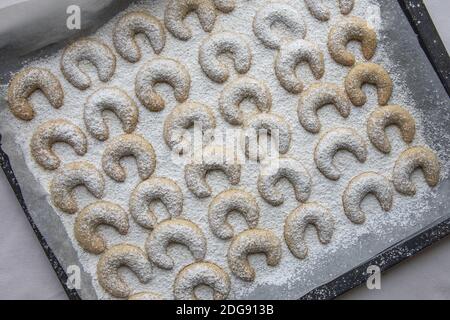 A baking tray with Vanillekipferl fresh from the oven. Vanillekipferl are small, crescent shaped biscuits made with ground nuts and vanilla. Stock Photo