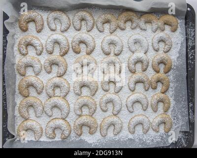 Backblech voll mit frischen Vanillehalbmondförmigen Keksen (Vanillekipferl) bestreut mit Vanille und Puderzucker. Stockfoto