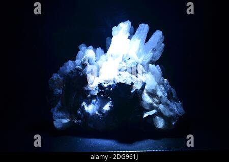 Innenansicht des Senckenberg Museums in Frankfurt Stockfoto