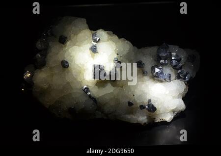 Innenansicht des Senckenberg Museums in Frankfurt Stockfoto