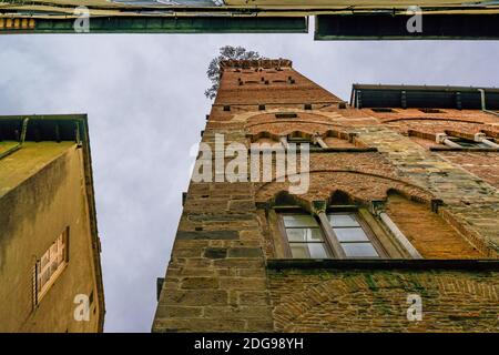 Torre Guinici Exterior, Lucca, Italien Stockfoto