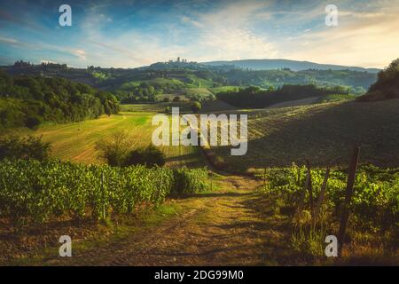 Panoramablick auf die Landschaft chianti und vernaccia Weinberge. San Gimignano bei Sonnenuntergang. Toskana, Italien, Europa. Stockfoto