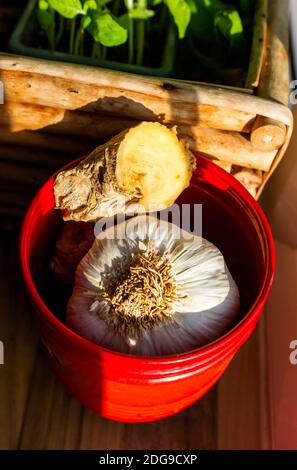 Frische Knoblauchzwiebel und Wurzelginger auf einem gespeichert Küchenfenster Stockfoto