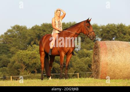 Dame auf Pferd, ohne auf der Wiese im Sommer Tag Sattel Stockfoto