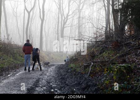 Limpsfield, Surrey,8. Dezember 2020,Leute nehmen ihre Hunde heraus für einen Spaziergang an einem Foggy Morgen in Limpsfield, Surrey die Wettervorhersage ist für Nebel, 3C und leichte Winde.Quelle: Keith Larby/Alamy Live News Stockfoto