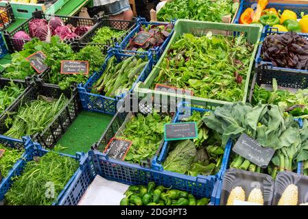 Verschiedene Arten von Kräutern und Salat für den Verkauf auf dem Markt Stockfoto