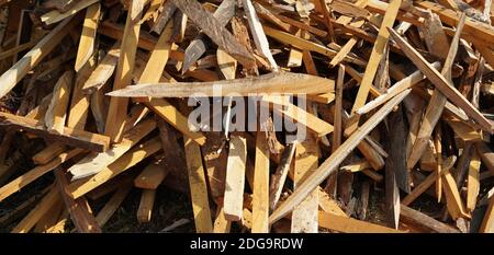 Zerbrochene lange Stücke von Baumstamm. Zerbrochene Holzstücke schließen. Holzspan aus Kiefernholz. Zerbrochen in Stücke und Splitter massiver Baumstamm, Nahaufnahme f. Stockfoto