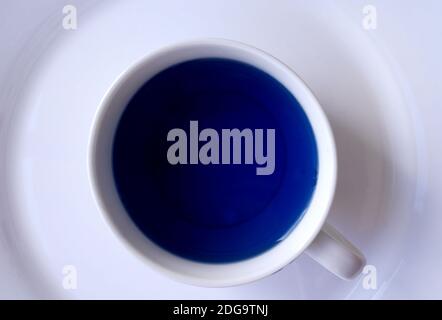 Bio koffeinfreier blauer Schmetterlingsblütentee in einer weißen Tasse. Stockfoto