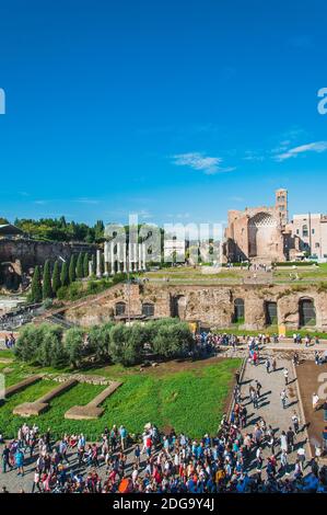 Forum Romanum rund um das Kolosseum in Rom Stockfoto