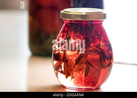 Konfitüre von Tannenzweigen und Zapfen und Bergsranbeeren in Kleine Gläser Stockfoto