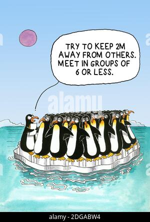 Corona Gag Karikatur über Pinguin Herde Stockfoto