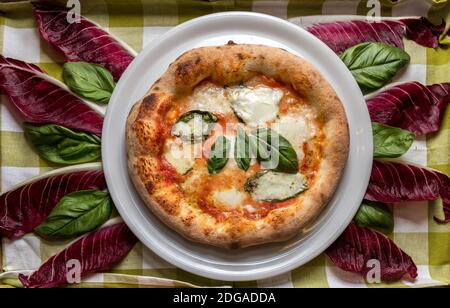 margherita Pizza mit Tomaten, Mozzarella und Basilikum. Draufsicht auf Hintergrund von Basilikumblättern und Radicchio rot Stockfoto