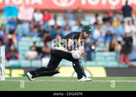 Sydney, Australien. Dezember 2020. Matthew Wade aus Australien spielt einen Schuss beim 3. Dettol ODI T20I Series Match zwischen Australien und Indien am Sydney Cricket Ground, Sydney, Australien am 8. Dezember 2020. Foto von Peter Dovgan. Nur redaktionelle Verwendung, Lizenz für kommerzielle Nutzung erforderlich. Keine Verwendung bei Wetten, Spielen oder Veröffentlichungen einzelner Vereine/Vereine/Spieler. Kredit: UK Sports Pics Ltd/Alamy Live Nachrichten Stockfoto