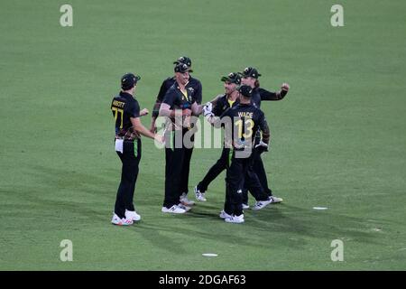 Sydney, Australien. Dezember 2020. Australien feiert das Wicket von Virat Kohli beim 3. Dettol ODI T20I Series Spiel zwischen Australien und Indien am Sydney Cricket Ground, Sydney, Australien am 8. Dezember 2020. Foto von Peter Dovgan. Nur redaktionelle Verwendung, Lizenz für kommerzielle Nutzung erforderlich. Keine Verwendung bei Wetten, Spielen oder Veröffentlichungen einzelner Vereine/Vereine/Spieler. Kredit: UK Sports Pics Ltd/Alamy Live Nachrichten Stockfoto
