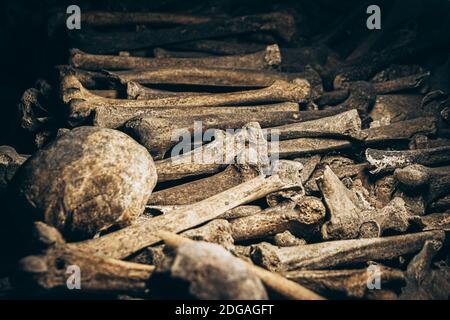 Ein Haufen verwitterter, alter Haufen menschlicher Knochen Und Schädelstücke auf einem Boden Stockfoto