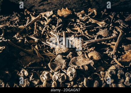 Ein Haufen verwitterter, alter Haufen menschlicher Knochen Und Schädelstücke auf einem Boden Stockfoto