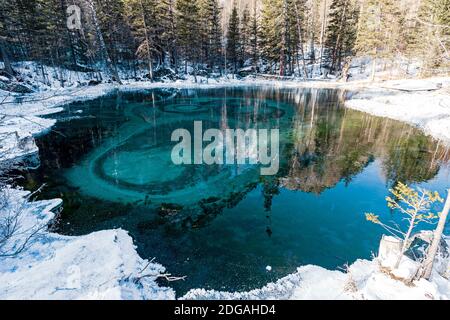 Fantastisch blauen Geysir See in den Wald. Altai, Russland Stockfoto