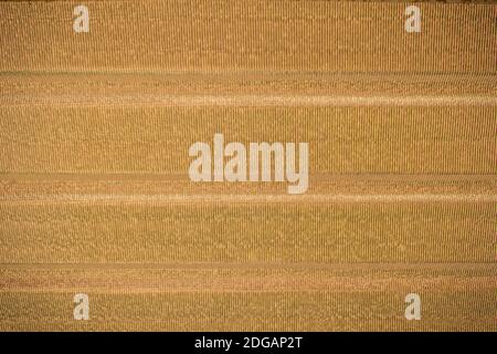 Silber Dach Isolierung grobe Falten Folie Textur. Dämmplatten auf Decke in der Nähe bis Hintergrund installiert. Silberne Folie Isolierung für Wärme schützen Stockfoto