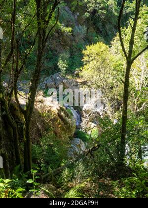 Bergwasserfall entlang PR10 sei Wanderroute in Serra da Estrela, Portugal Stockfoto