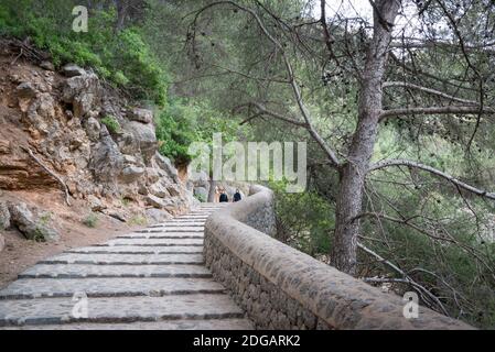 Der GR221 Spaziergang von Deia nach Port de Soller, Mallorca, Spanien Stockfoto