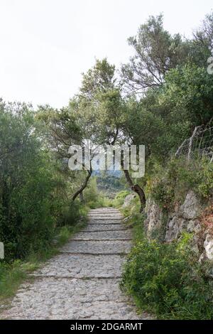 Der GR221 Spaziergang von Deia nach Port de Soller, Mallorca, Spanien Stockfoto