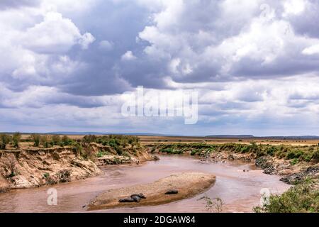Wildtiere im Maasai Mara National Reserve Park im Narok County, Kenia Stockfoto