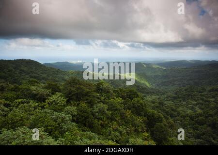 Blick auf den Regenwald von El Yunque vom Turm von Yokahu, El Yunque, Puerto Rico Stockfoto