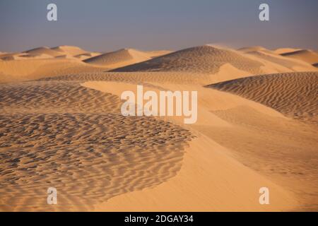 Sanddünen in einer Wüste, große Düne, Douz, Sahara Wüste, Tunesien Stockfoto