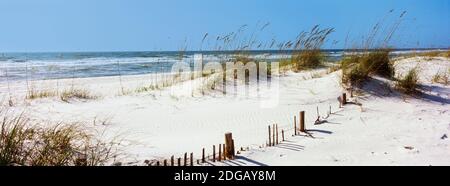 Hohes Gras am Strand, Perdido Key Gegend, Gulf Islands National Seashore, Pensacola, Florida, USA Stockfoto