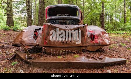 Ein altes rostiger Wagen im Wald Stockfoto