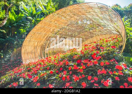 Bunte Blumen auf den großen Bambuskörben im Mae Fah Luang Garden, Chiang Rai, Thailand. Garten mit kalten Winterblumen wie Salvia Petunia Begonia Stockfoto